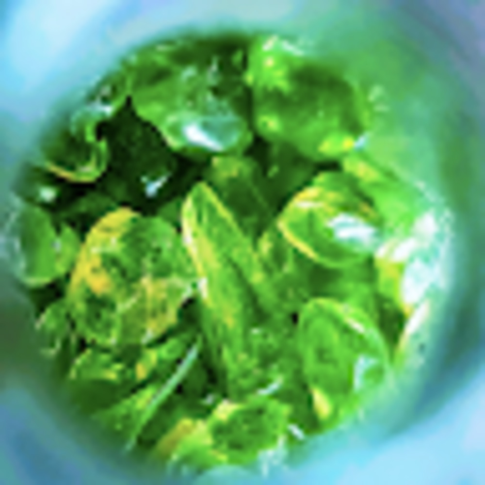 Meet your Posher, Keilana